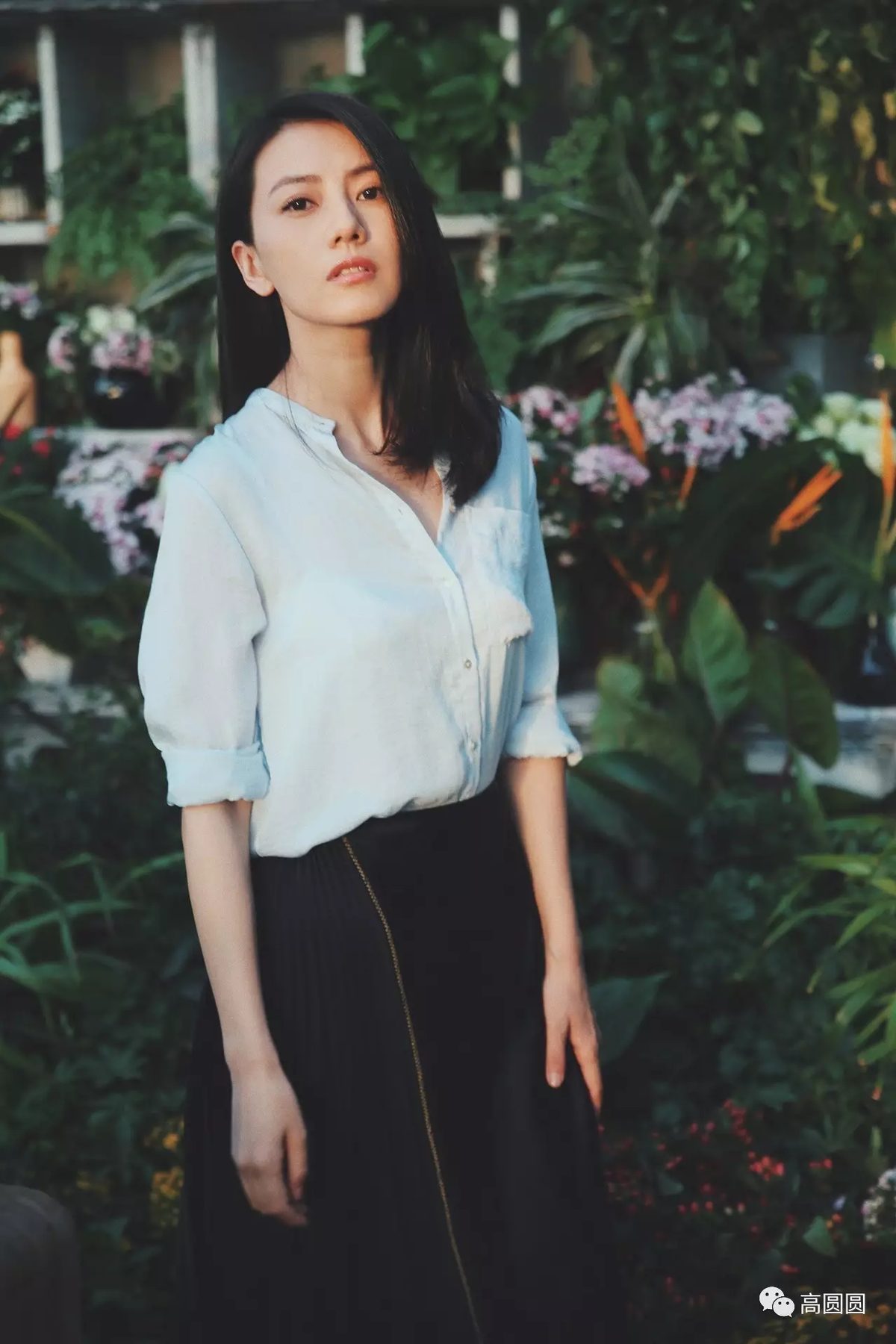 Yuanyuan Gao HD Images/Photo Gallery Download #663999