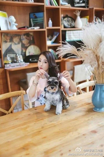 진자함 HD 이미지/사진 갤러리 다운로드 #1935202