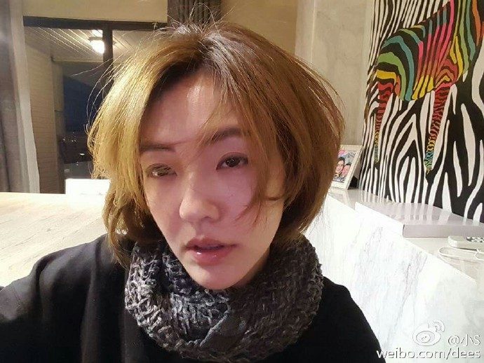 Dee Hsu HD画像/フォトギャラリーダウンロード #1868750