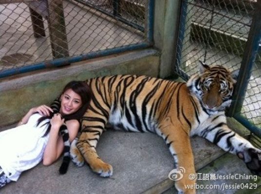 Jessie Chiang HD Images/Photo Gallery Download #1546001