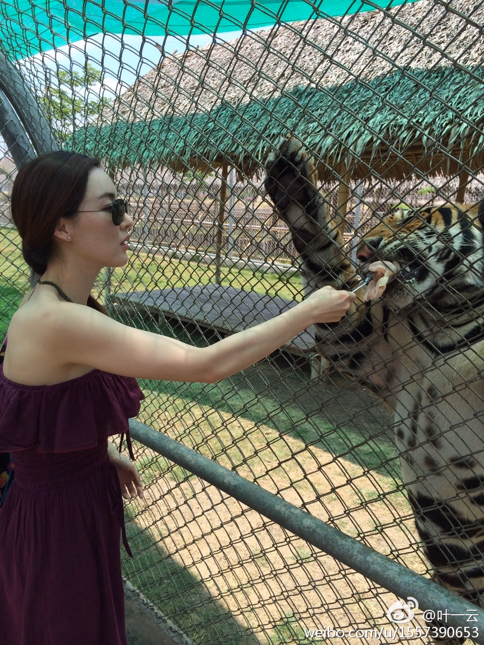 Yiyun Ye HD Images/Photo Gallery Download #3499874