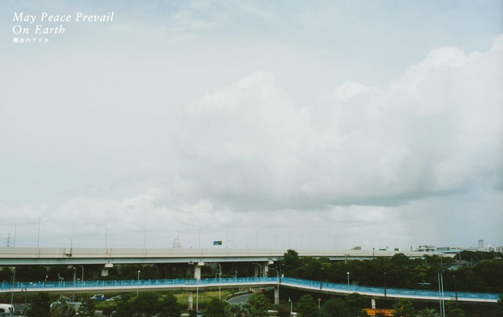 小松菜奈 高清写真/照片下载 #4388103