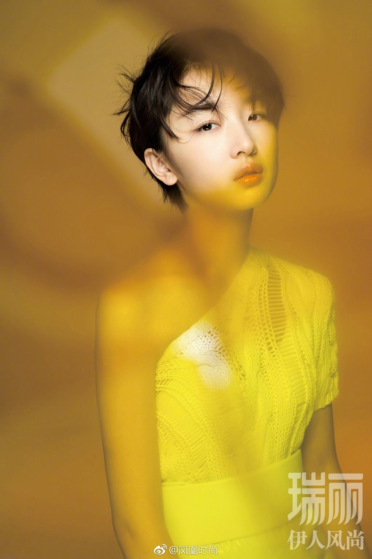 Dongyu Zhou HD Images/Photo Gallery Download #1917713