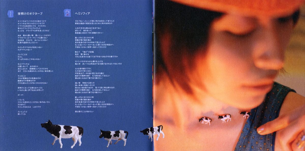 坂本真绫 高清写真/照片下载 #6716466