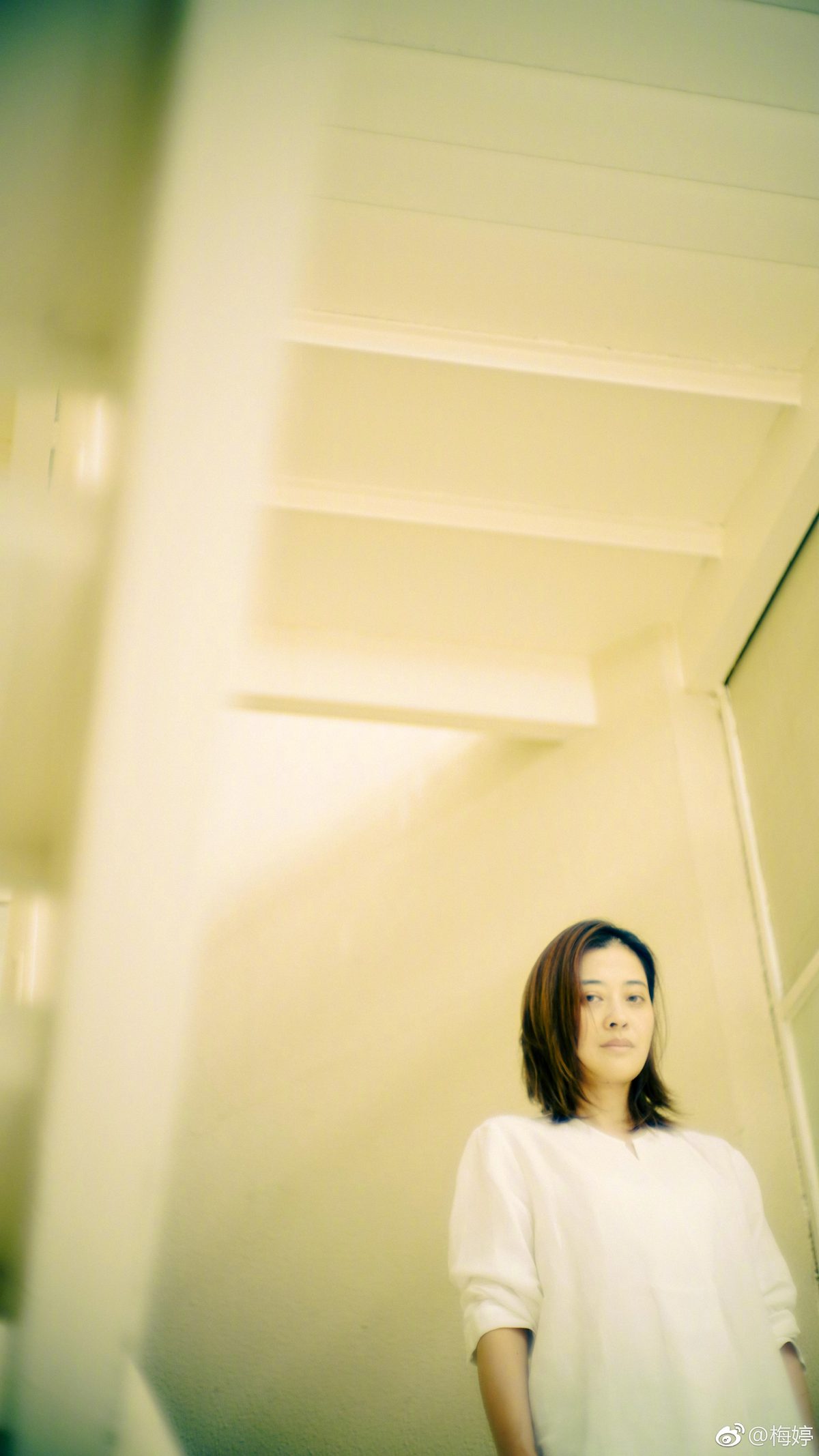 매정 HD 이미지/사진 갤러리 다운로드 #1332487
