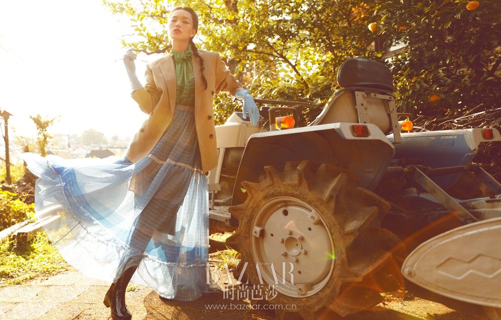 Shu Qi HD Images/Photo Gallery Download #6723048