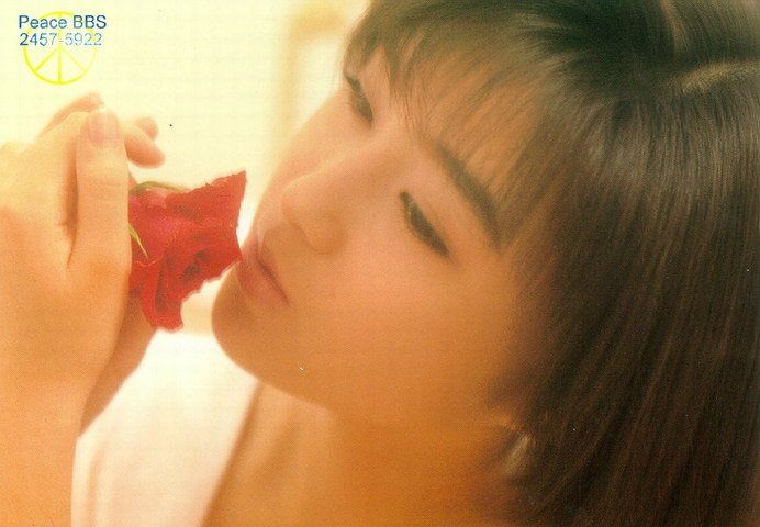 Noriko Sakai HD Images/Photo Gallery Download #5471560
