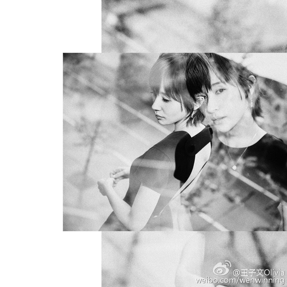 Ziwen Wang HD Images/Photo Gallery Download #7029942