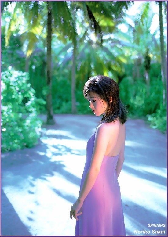 Noriko Sakai HD Images/Photo Gallery Download #9681646