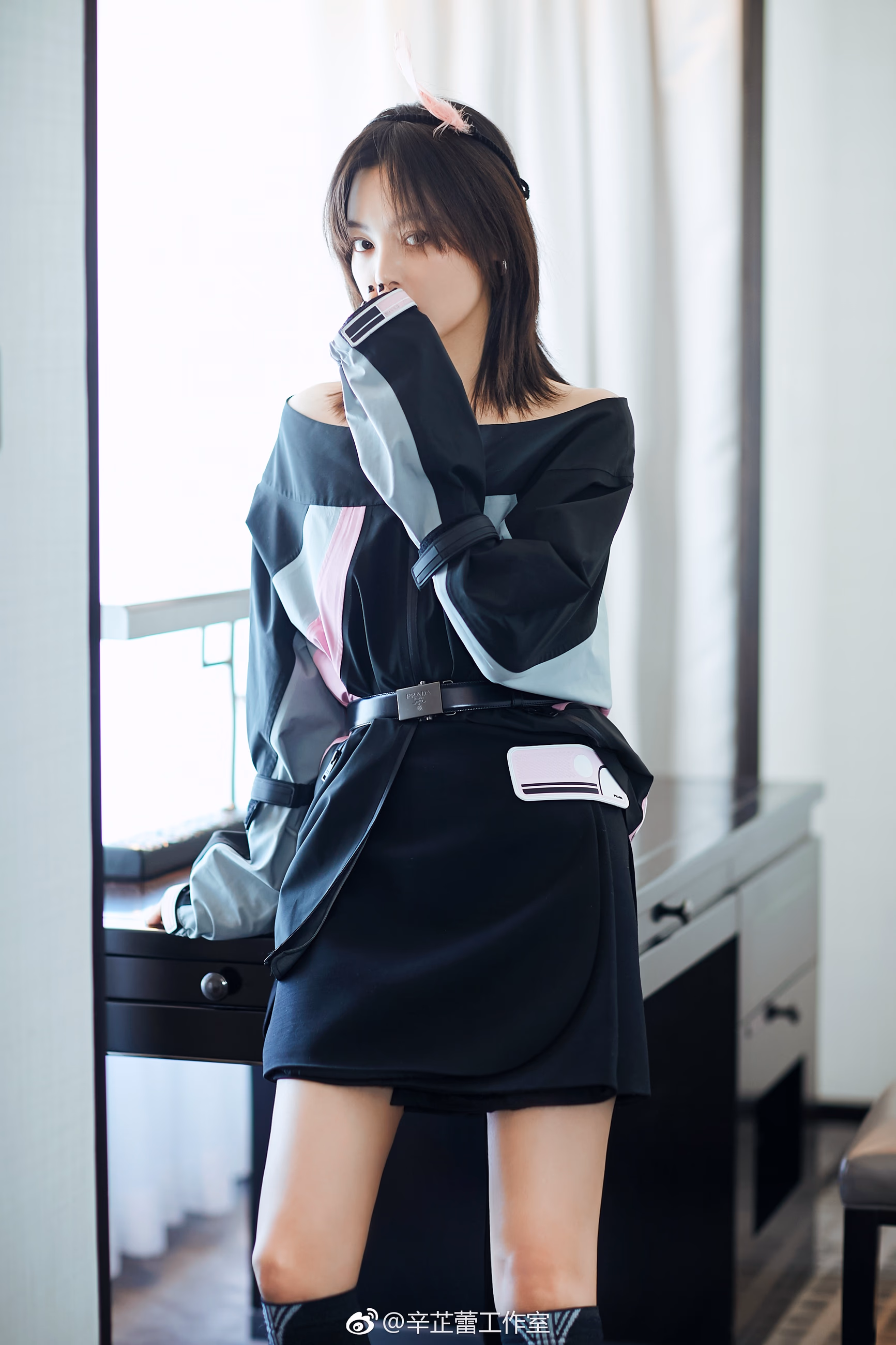 辛芷蕾 高清写真/照片下载 #3446413