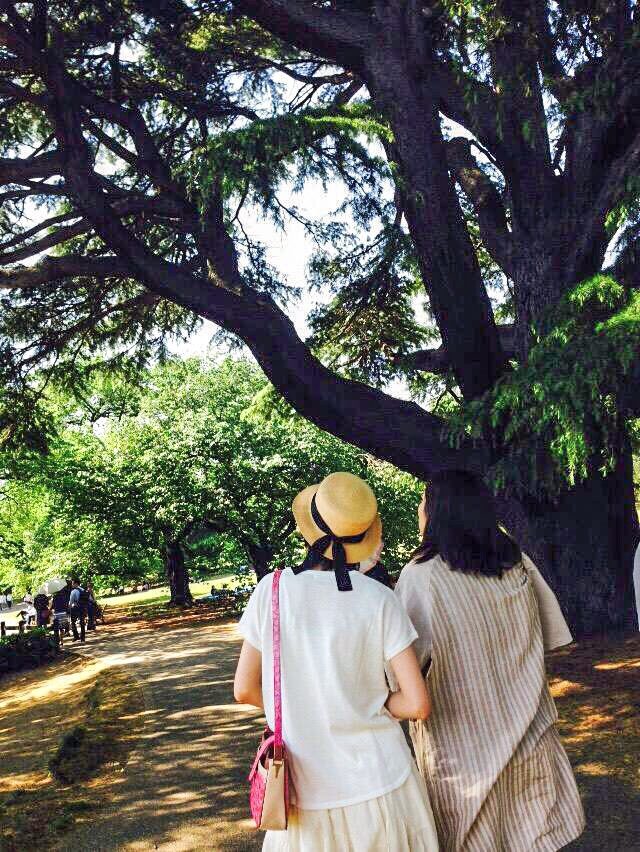 Rena Nounen HD Images/Photo Gallery Download #3387648