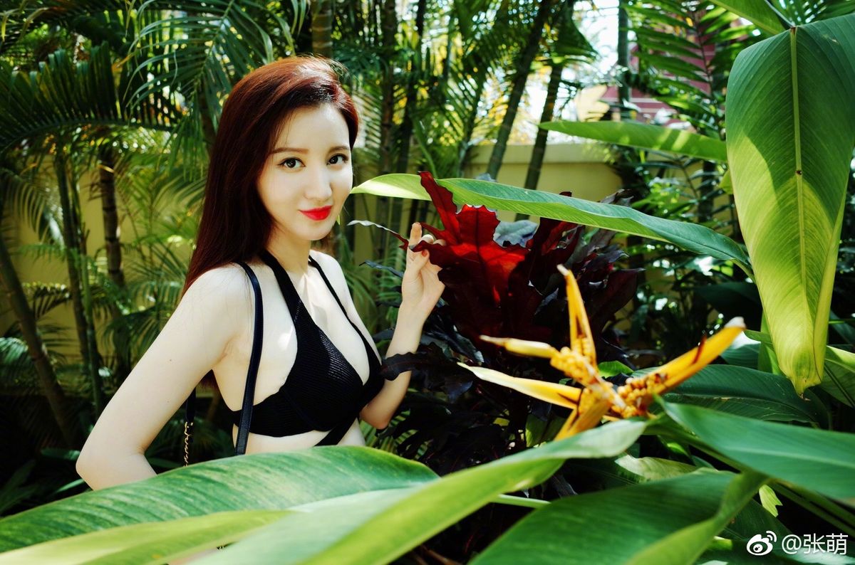 Meng Zhang HD Images/Photo Gallery Download #7021229