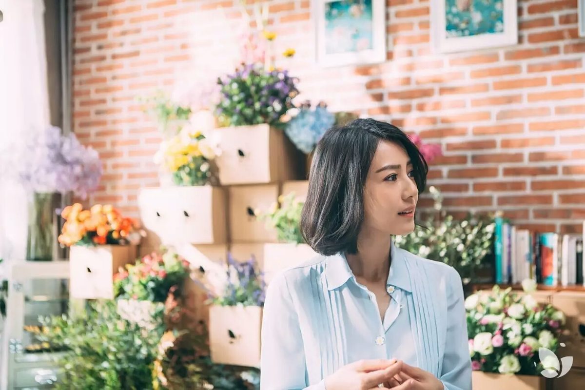 高圆圆 高清写真/照片下载 #670084