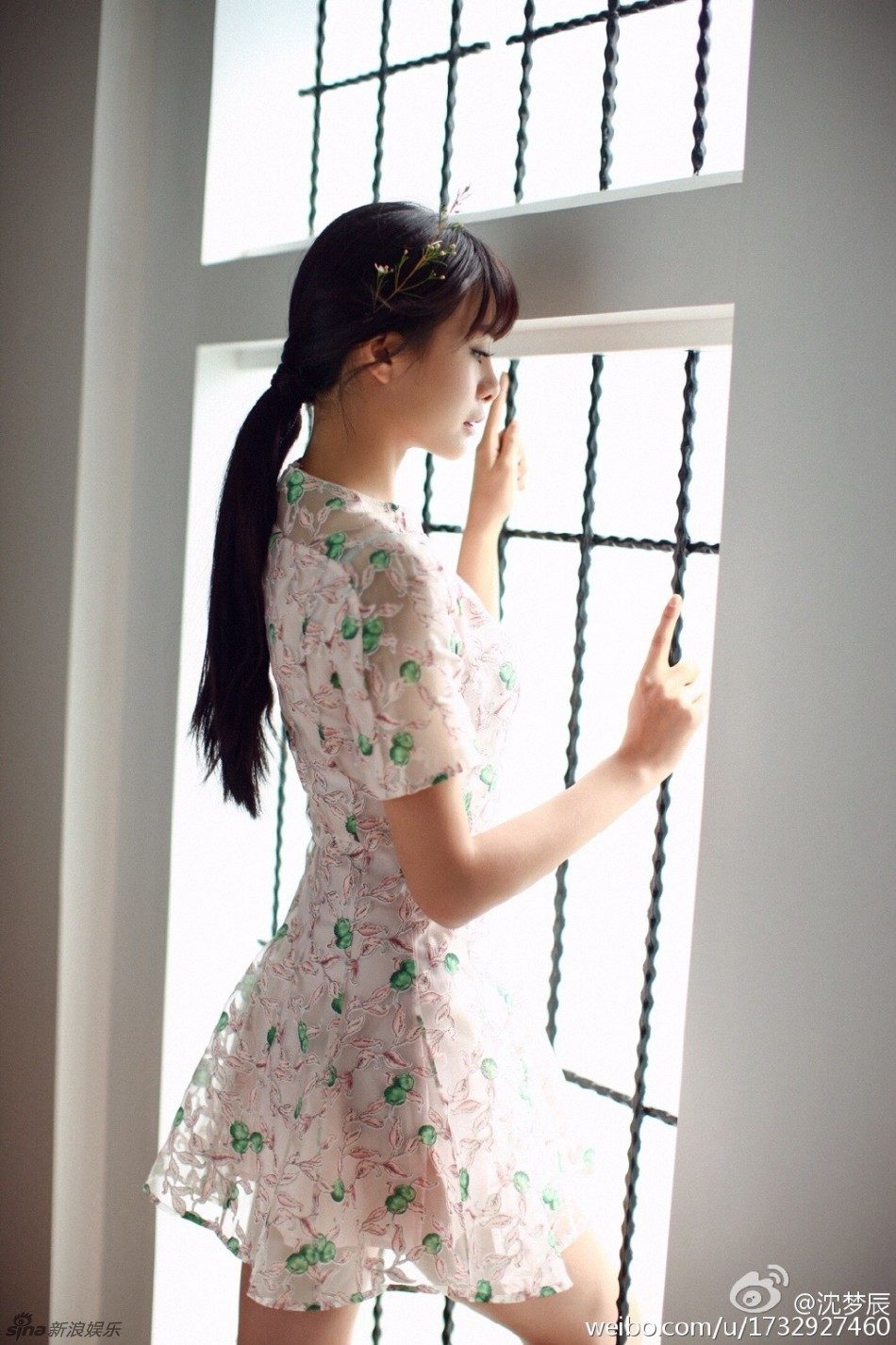 Mengchen Shen HD Images/Photo Gallery Download #6711873