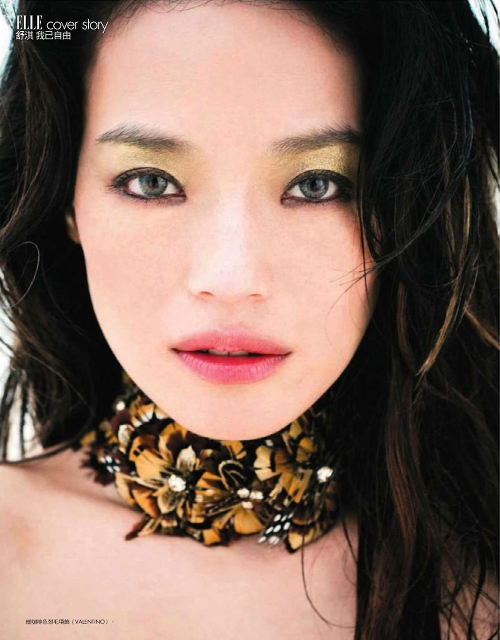 Shu Qi HD Images/Photo Gallery Download #1814263