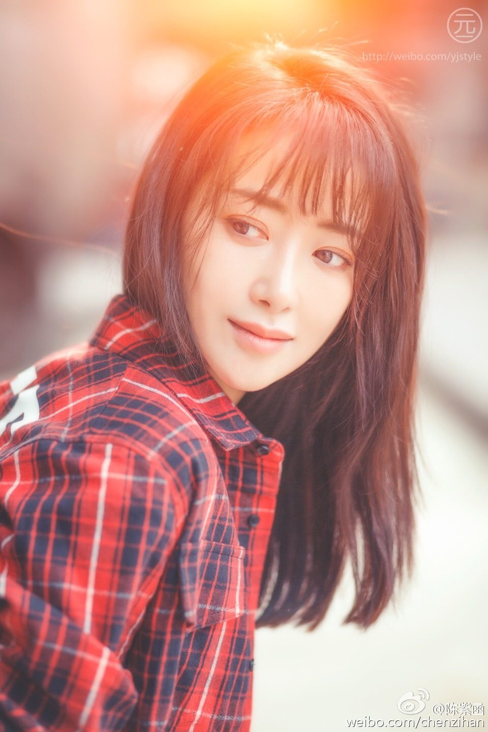 진자함 HD 이미지/사진 갤러리 다운로드 #1935581