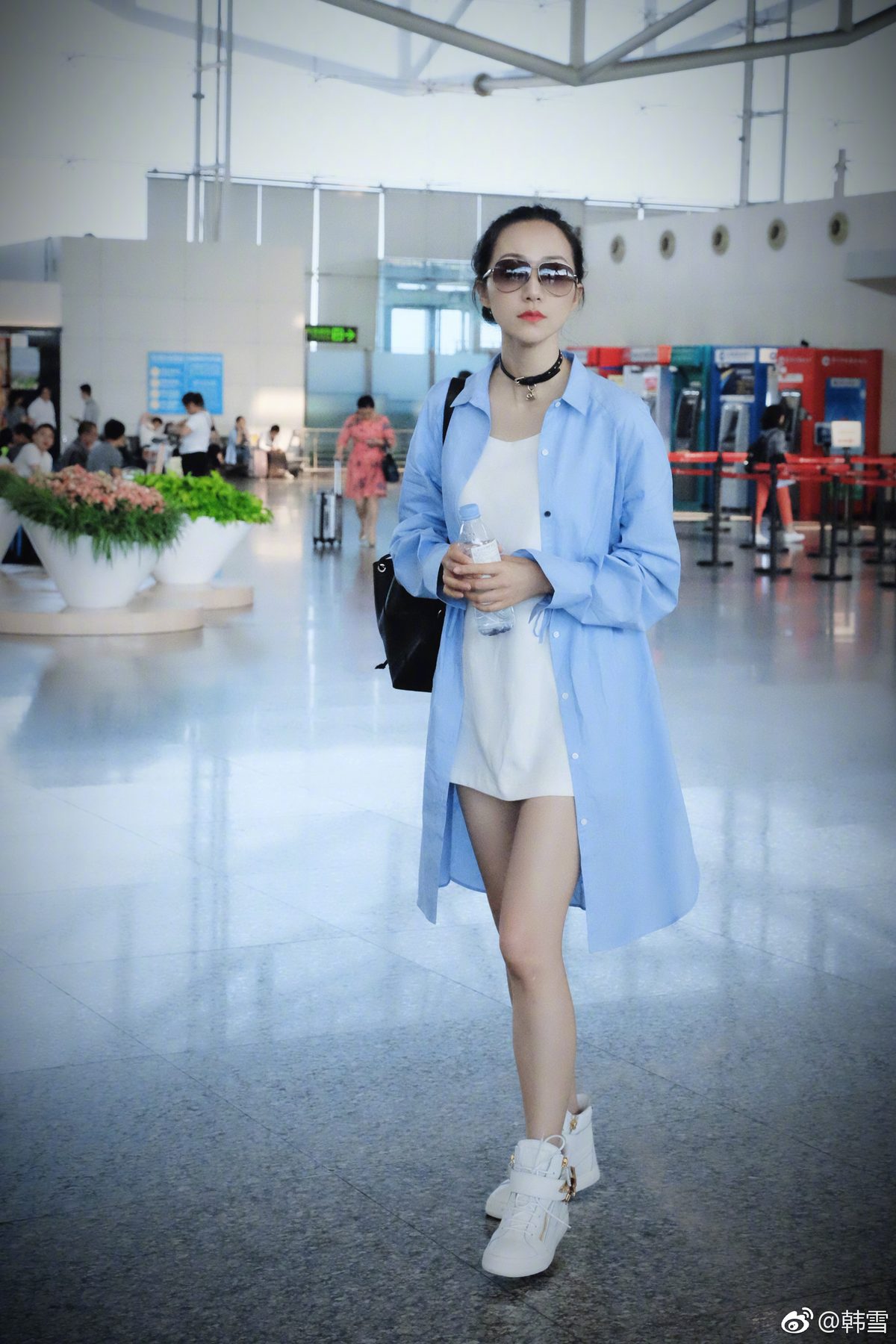 한쉐 HD 이미지/사진 갤러리 다운로드 #6656770