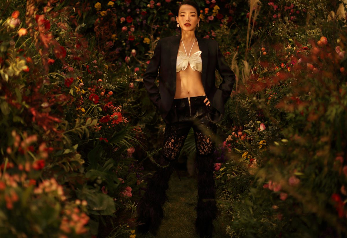 Shu Qi HD Images/Photo Gallery Download #6722985