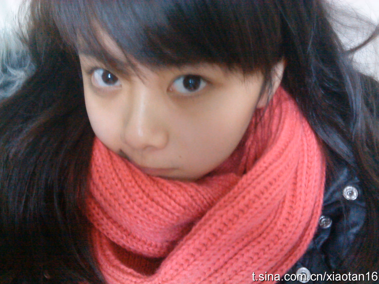 谭松韵 高清写真/照片下载 #3513062