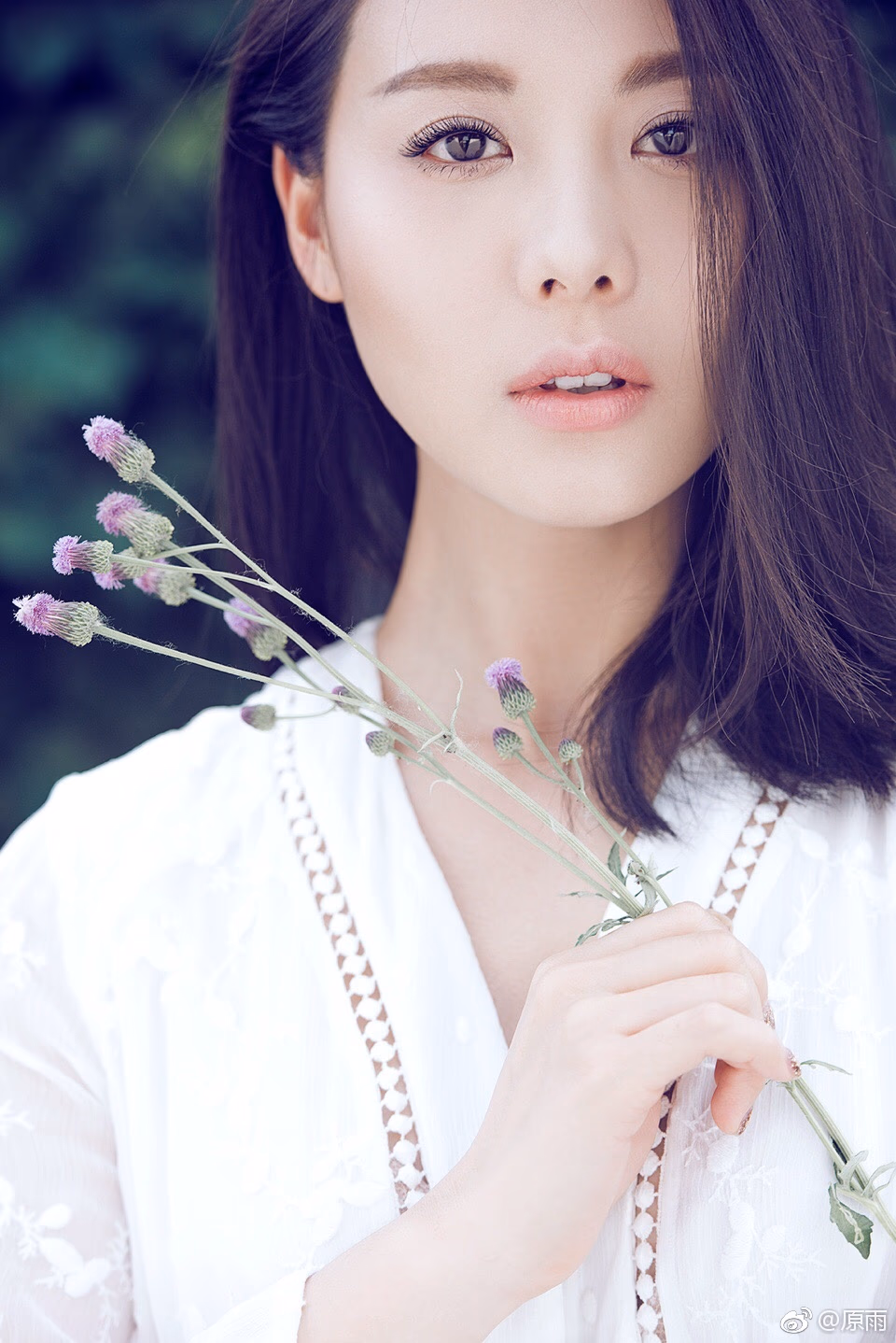 原雨 高清写真/照片下载 #3403677