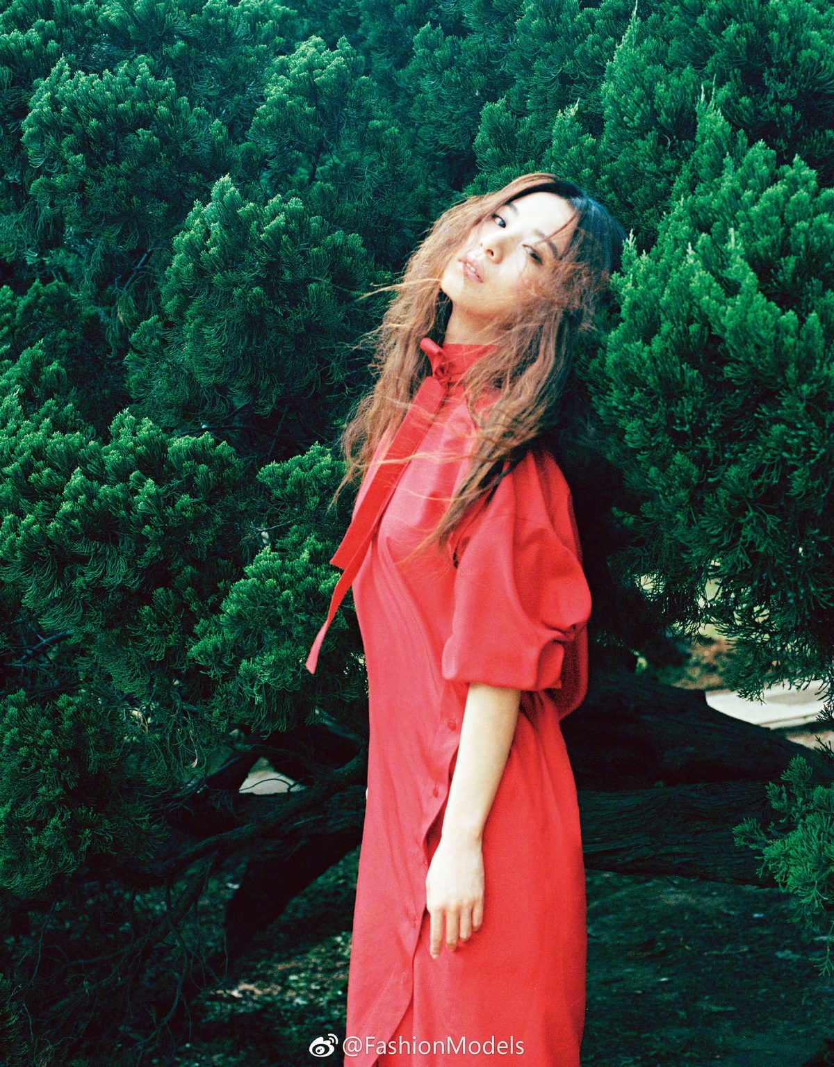 Hebe Tien HD Images/Photo Gallery Download #6971627
