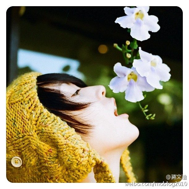Mandy Chiang HD Images/Photo Gallery Download #1290722