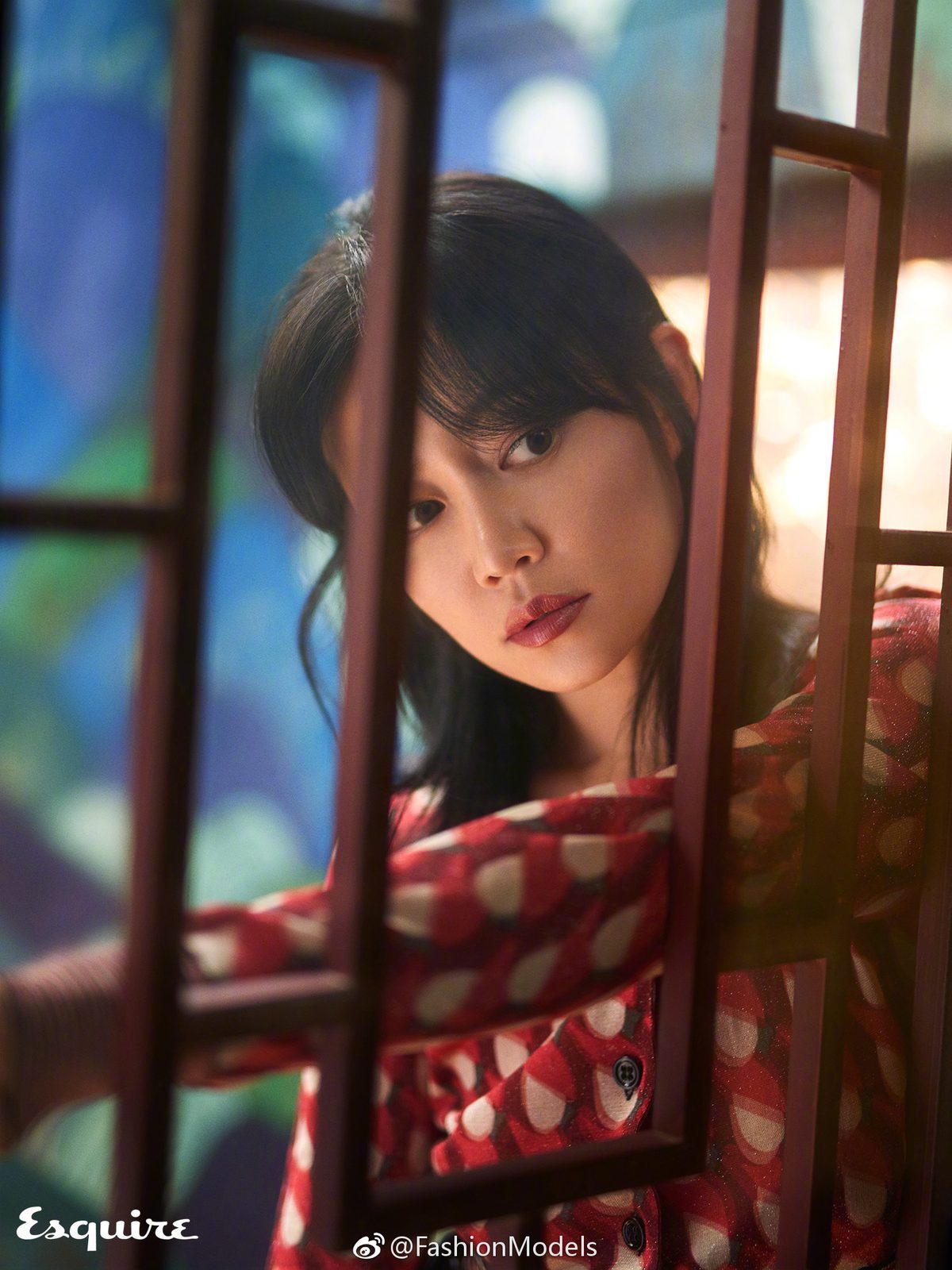 Zhuo Tan HD Images/Photo Gallery Download #1960970