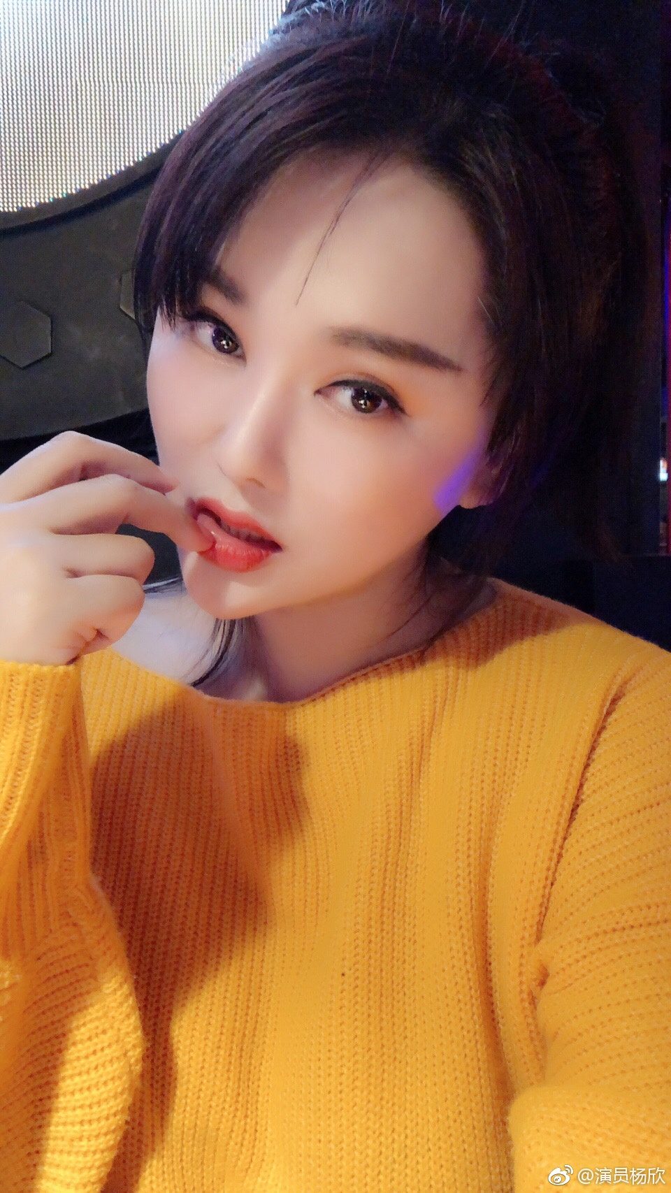Xin Yang HD画像/フォトギャラリーダウンロード #1550713