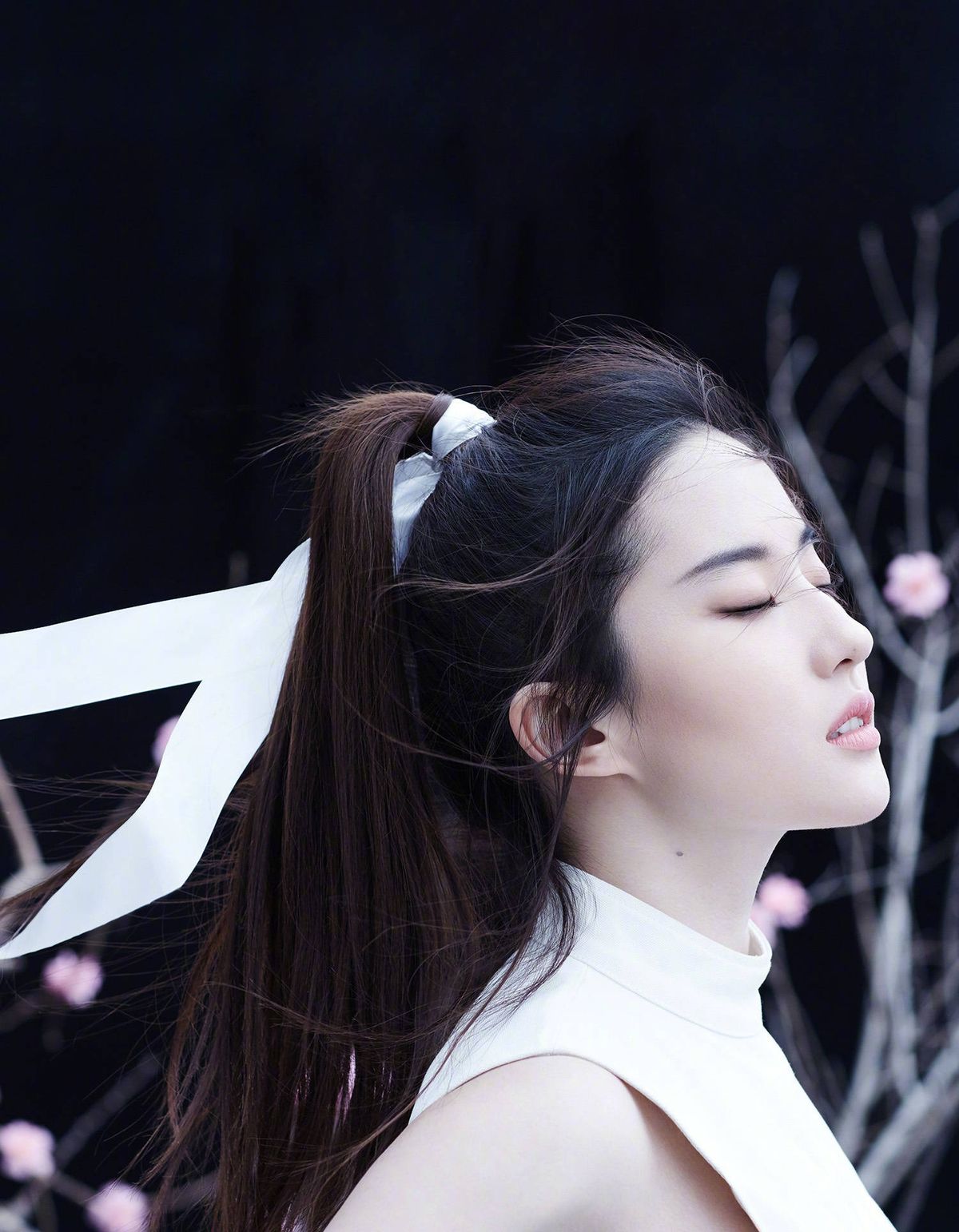 Liu Yifei HD Images/Photo Gallery Download #6708014