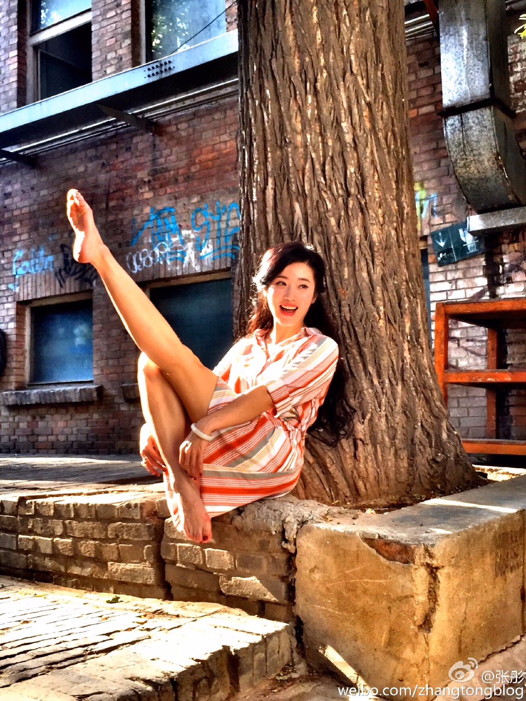 장동 HD 이미지/사진 갤러리 다운로드 #1992294