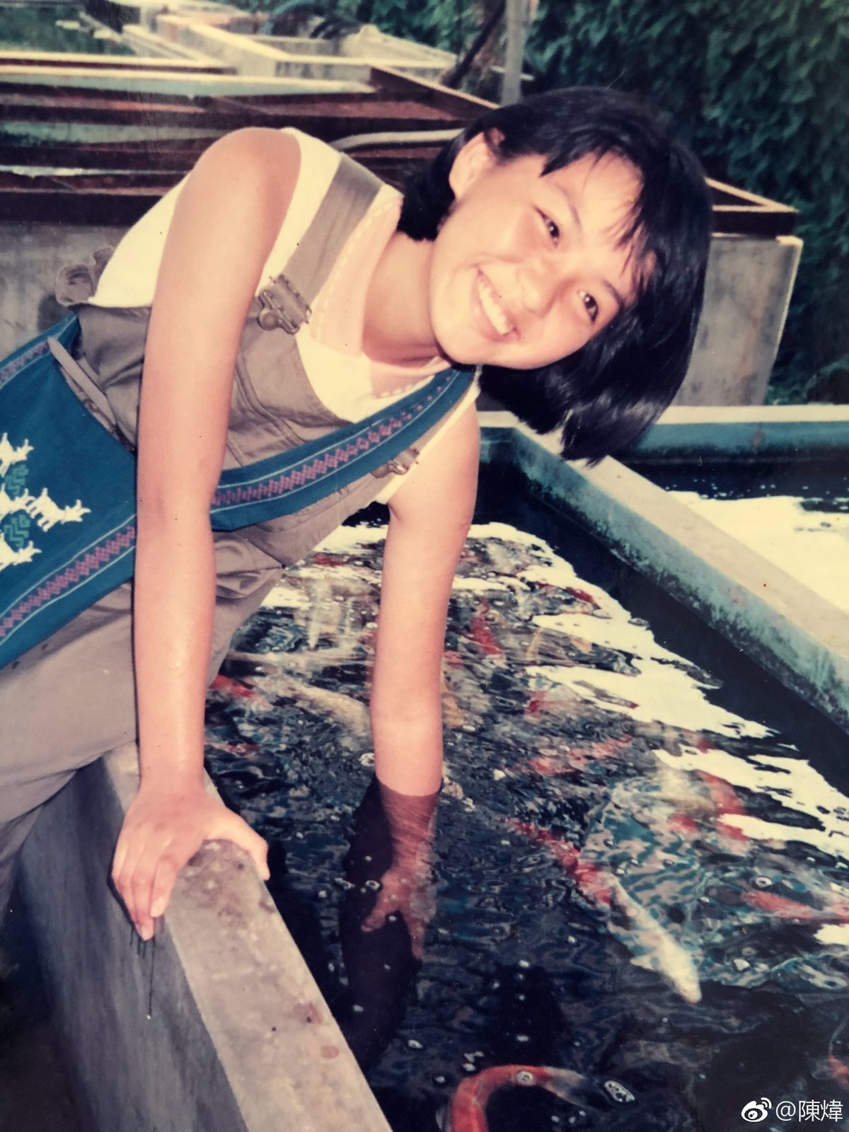 Alice Chan HD Images/Photo Gallery Download #8000857