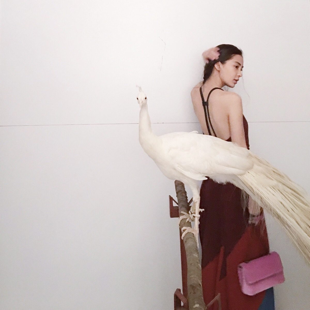 Angelababy HD Images/Photo Gallery Download #6646479