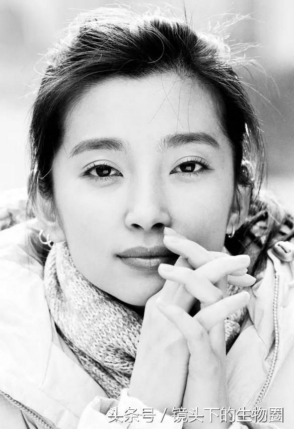 Bingbing Li HD Images/Photo Gallery Download #1062450