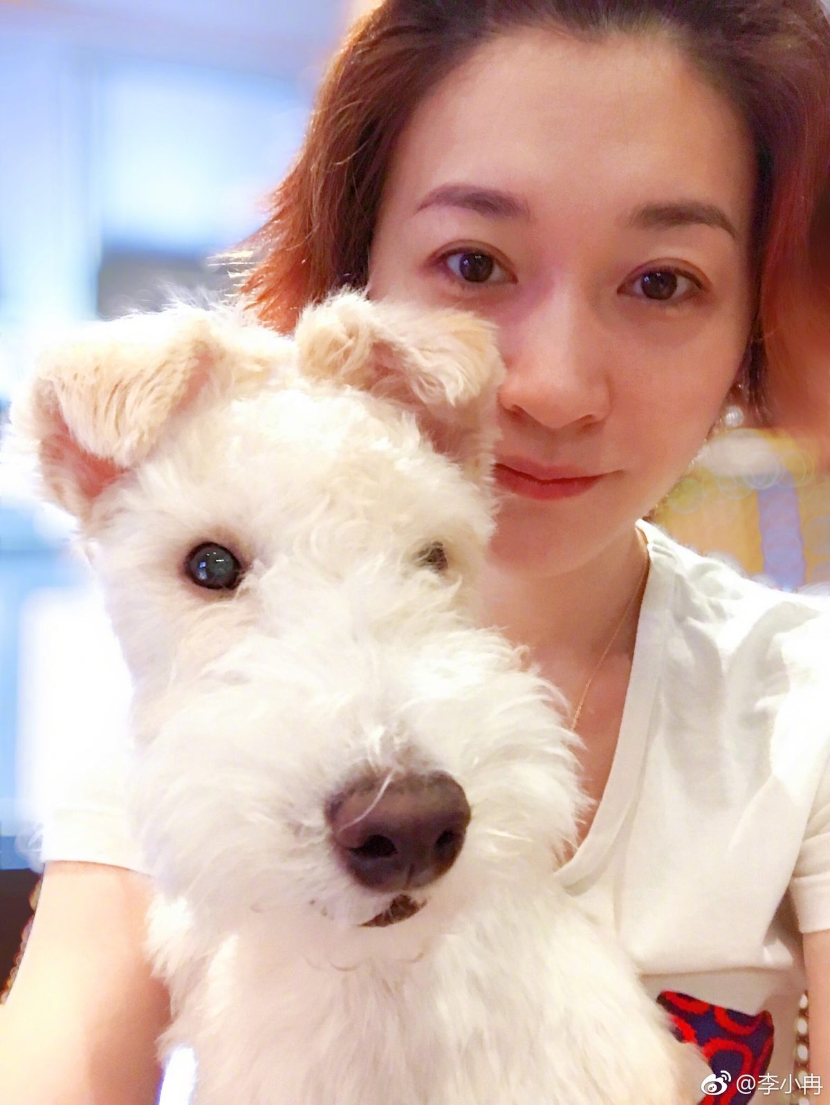 Xiaoran Li HD Images/Photo Gallery Download #1836961