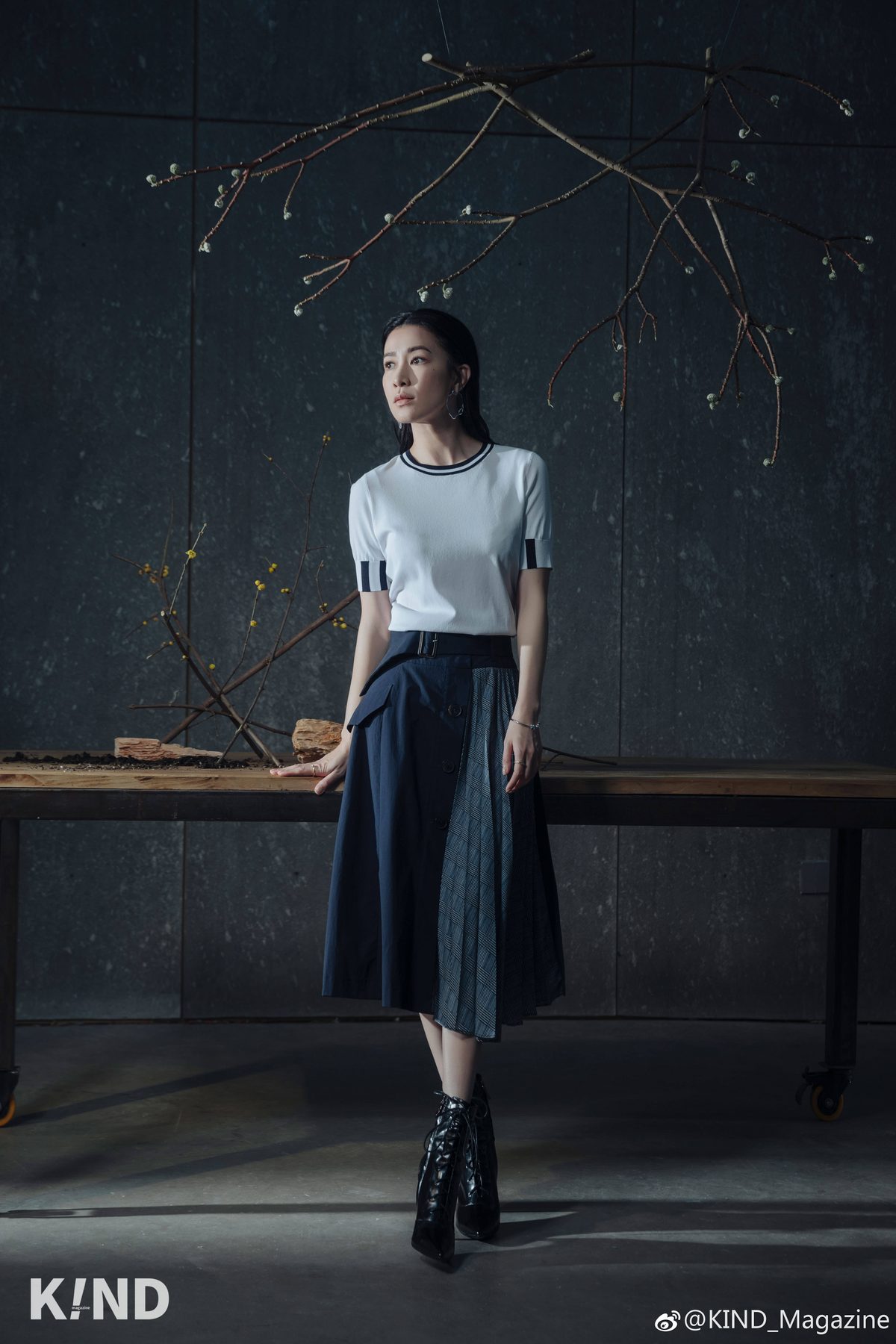 Charmaine Sheh HD Images/Photo Gallery Download #784039