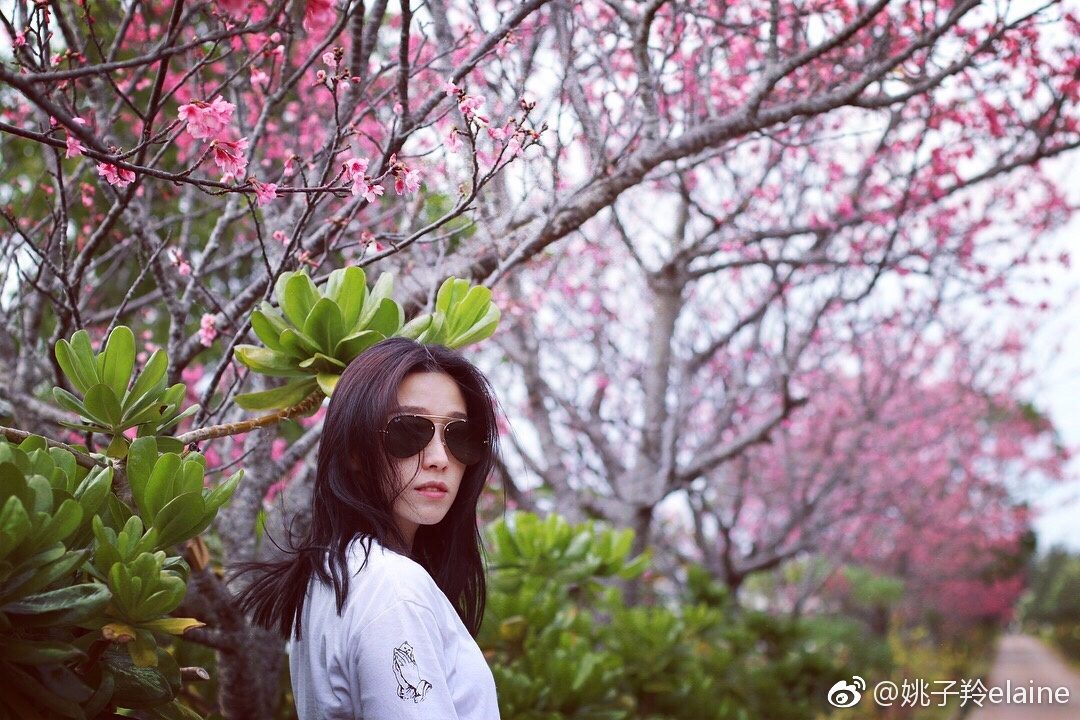 Elaine Yiu HD Images/Photo Gallery Download #1366771