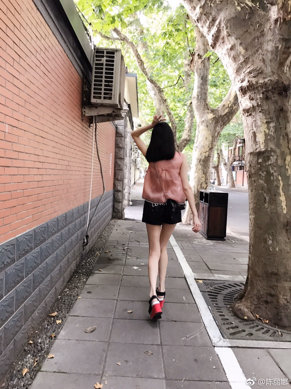 陈丽娜 高清写真/照片下载 #3478613