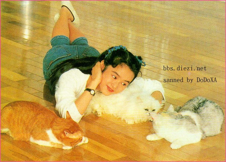 Gloria Yip HD Images/Photo Gallery Download #806500