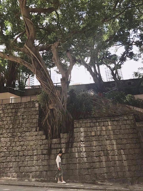 カオ・ユアンユアン HD画像/フォトギャラリーダウンロード #668419