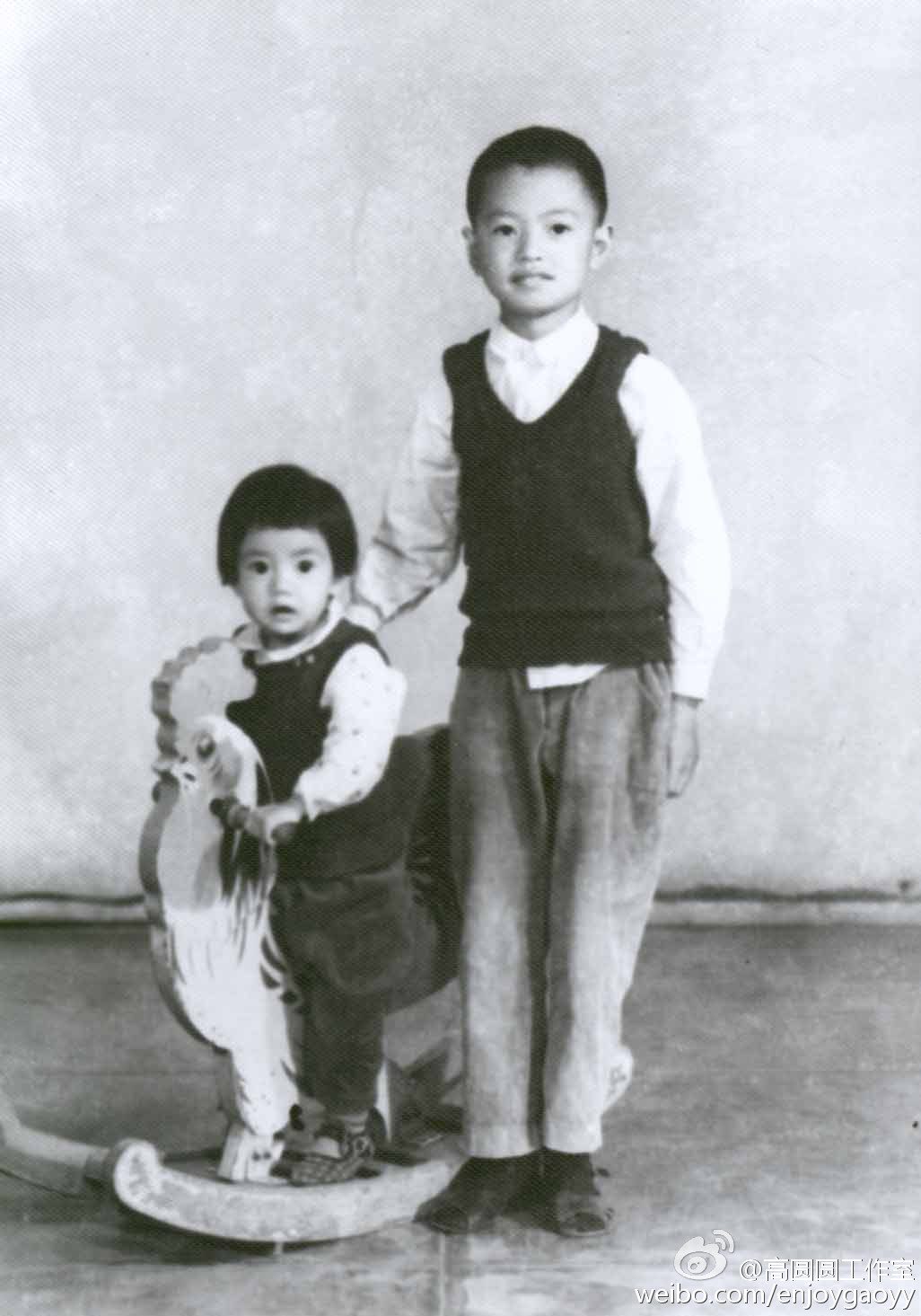 高圆圆 高清写真/照片下载 #670171