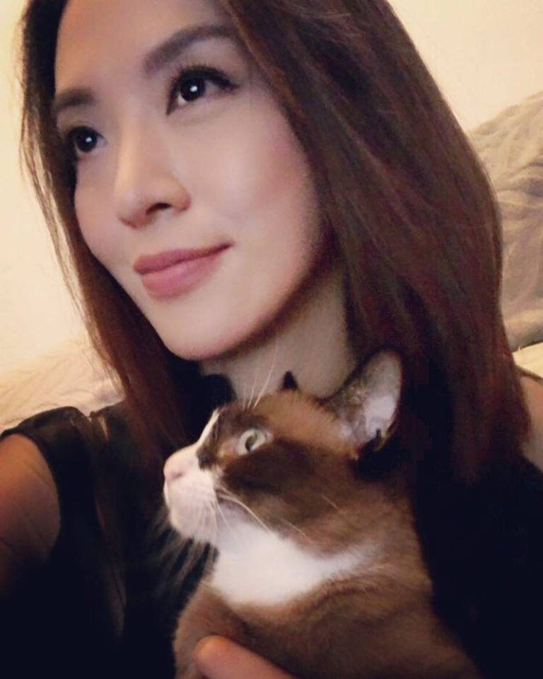 진위 HD 이미지/사진 갤러리 다운로드 #1383881