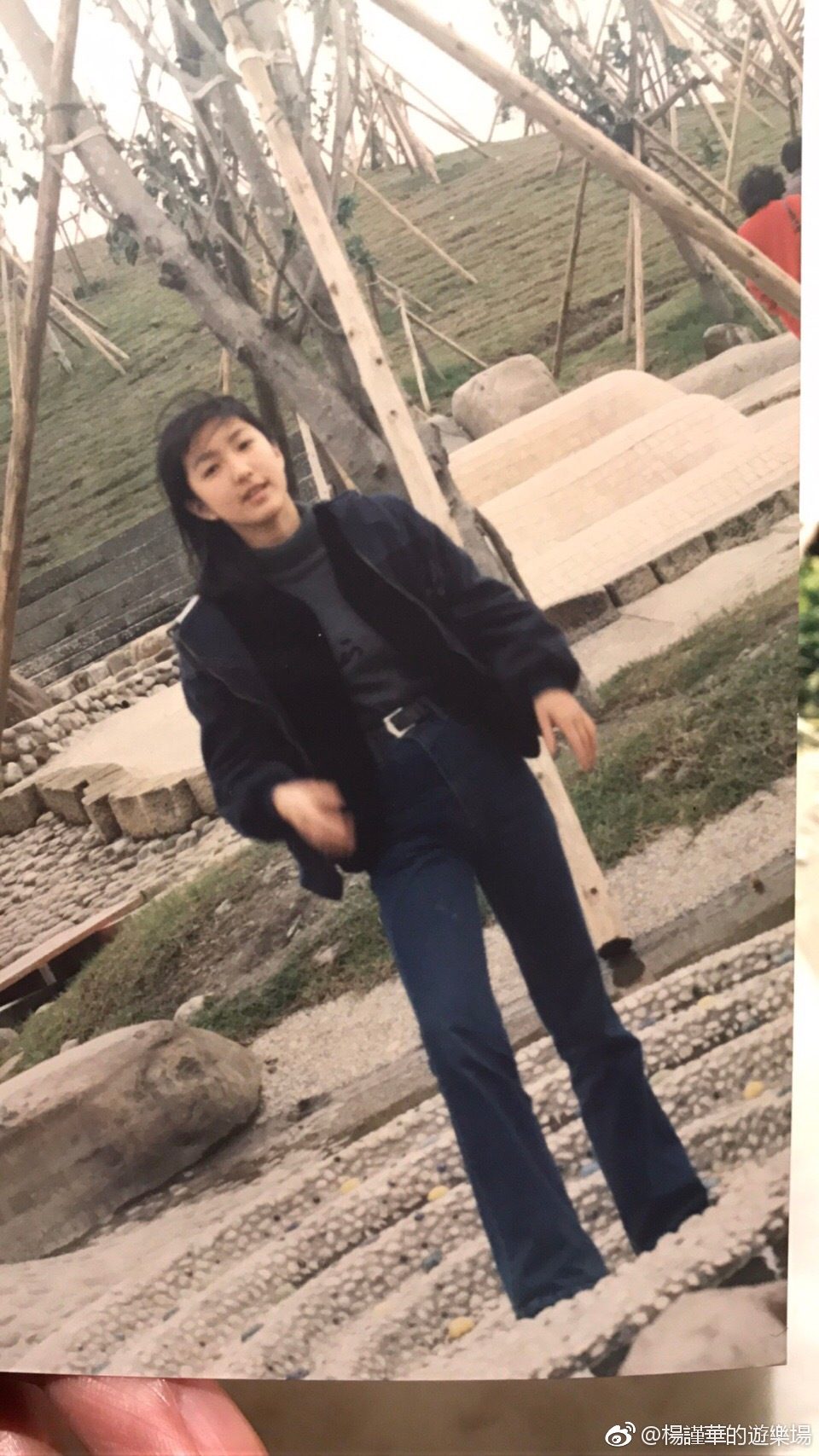 杨谨华 高清写真/照片下载 #1736202