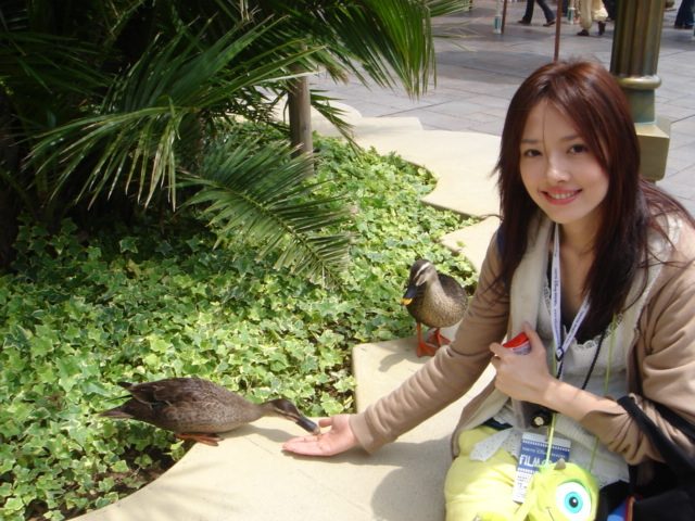 Bea Hayden Kuo HD Images/Photo Gallery Download #6728723