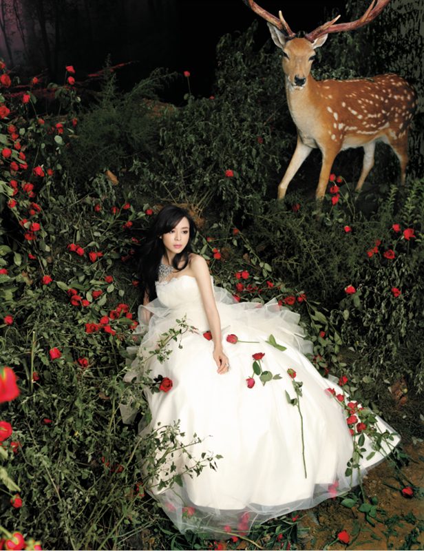 Jingchu Zhang HD Images/Photo Gallery Download #802641