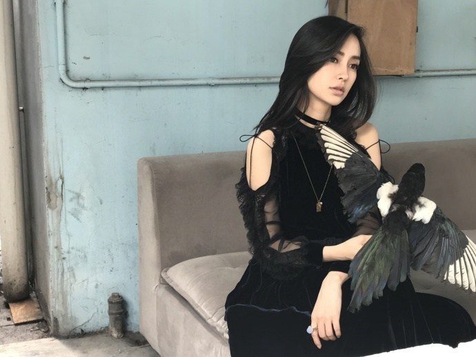 Angelababy HD Images/Photo Gallery Download #6650370