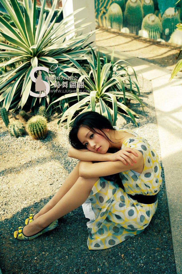 Shi Shi Liu HD Images/Photo Gallery Download #6781632