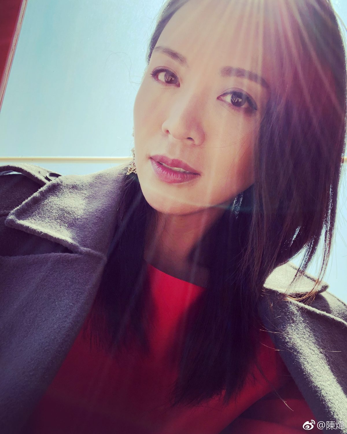 Alice Chan HD Images/Photo Gallery Download #1494237