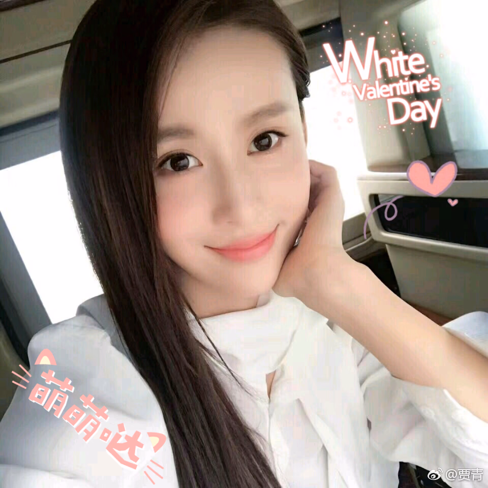 贾青 高清写真/照片下载 #3506078