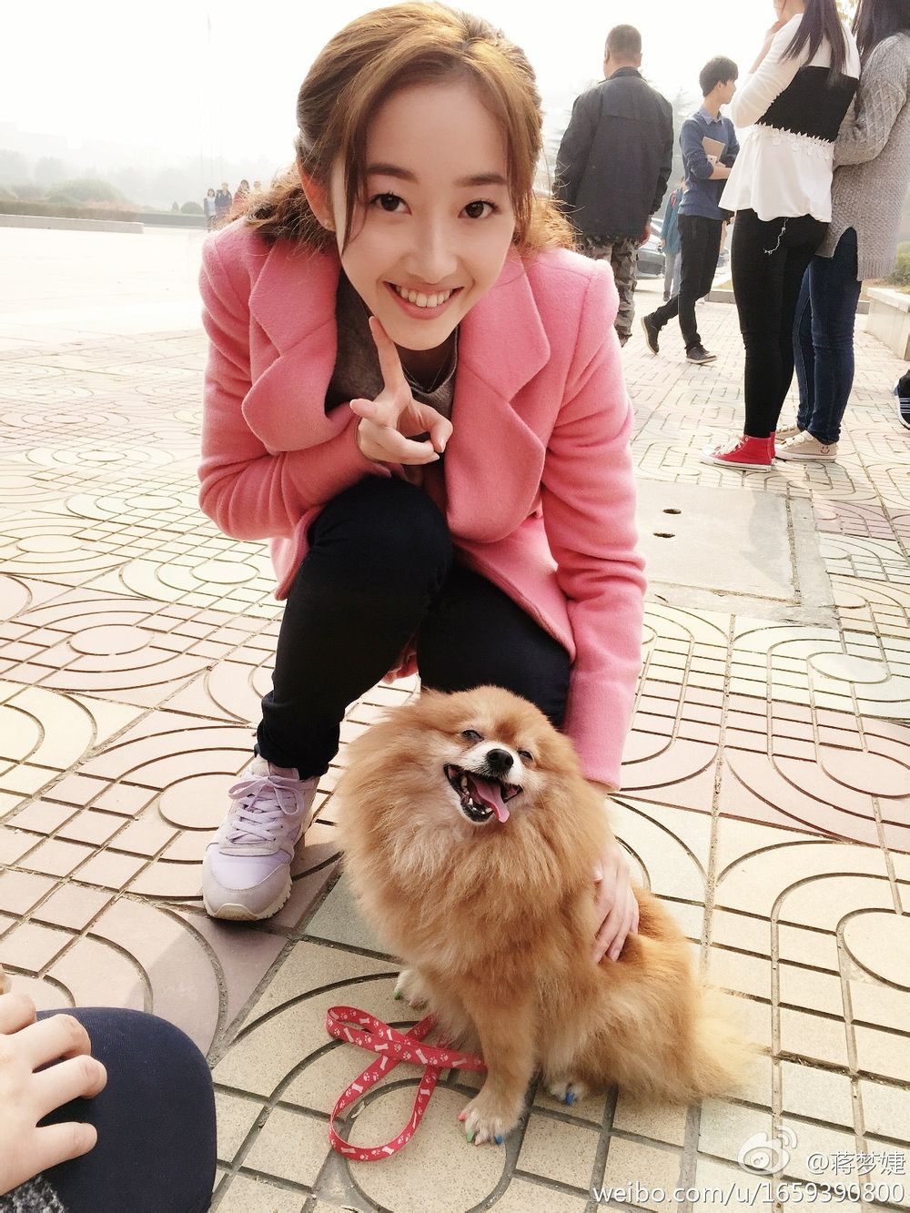 Mengjie Jiang HD Images/Photo Gallery Download #6806729