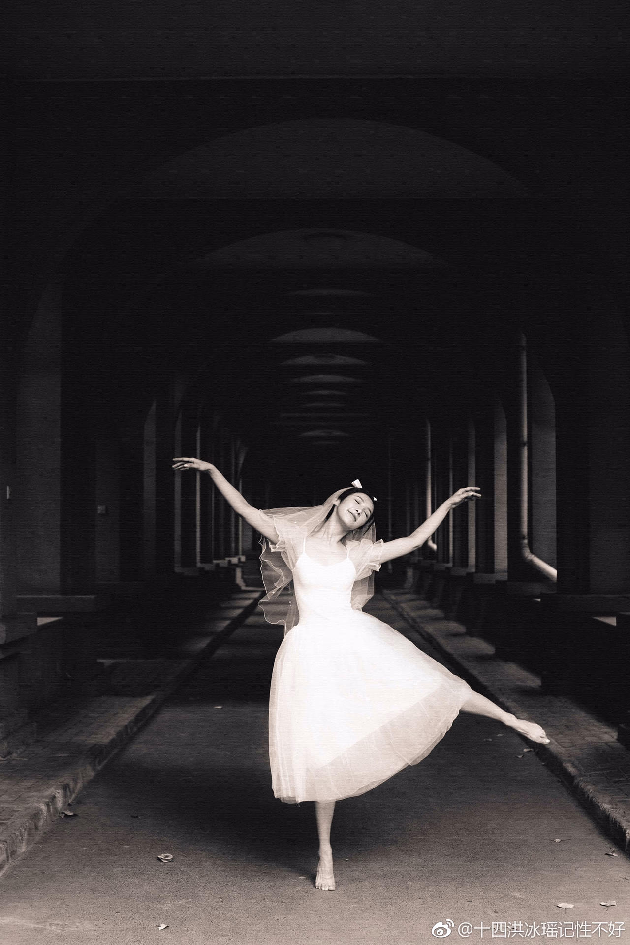 洪紫琳 高清写真/照片下载 #3482299